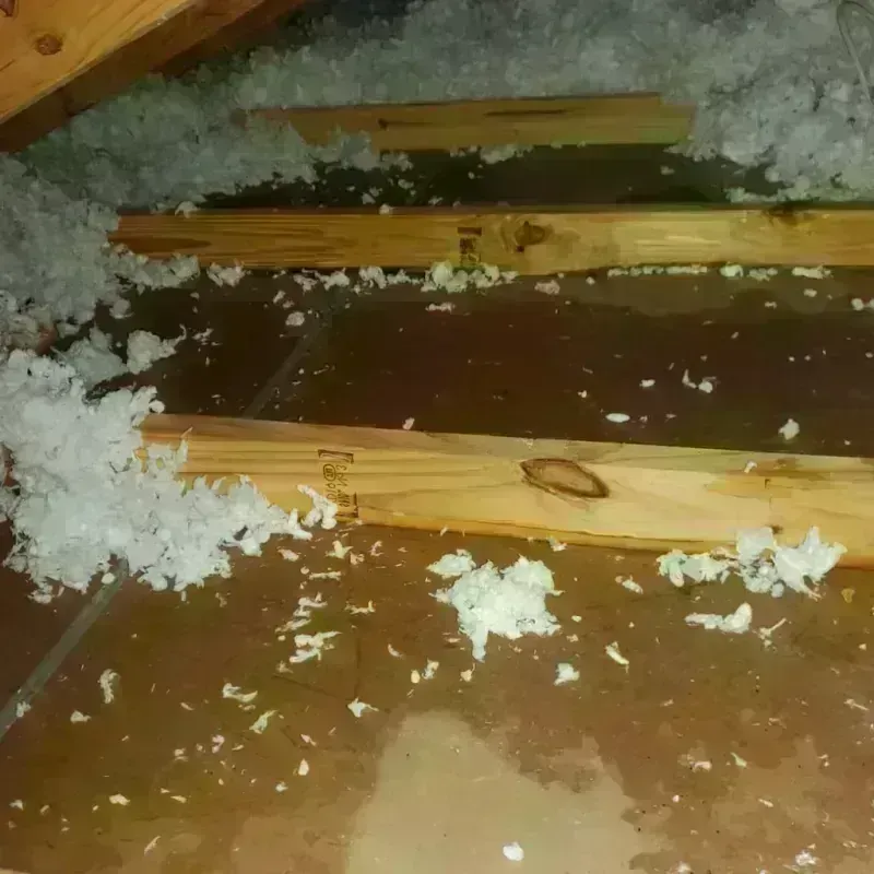 Attic Water Damage in Hudson Falls, NY